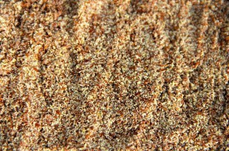 Triture a linhaça você mesmo para garantir mais nutrientes na sua dieta! Como triturar a semente de linhaça