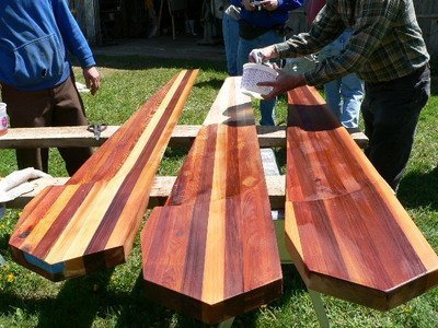 Usos alternativos para o óleo de linhaça