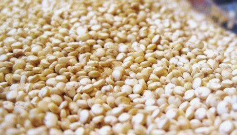 Formas de consumo da quinoa