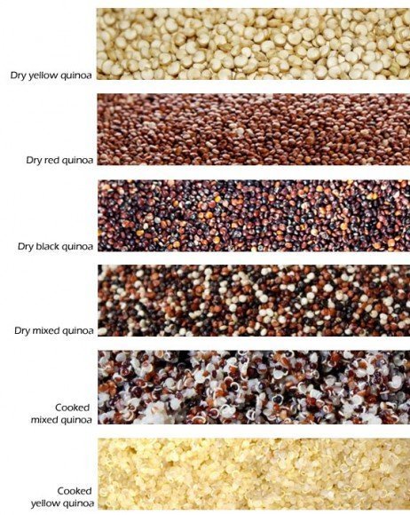 Diferentes grãos de quinoa