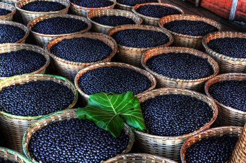 Benefícios do açaí