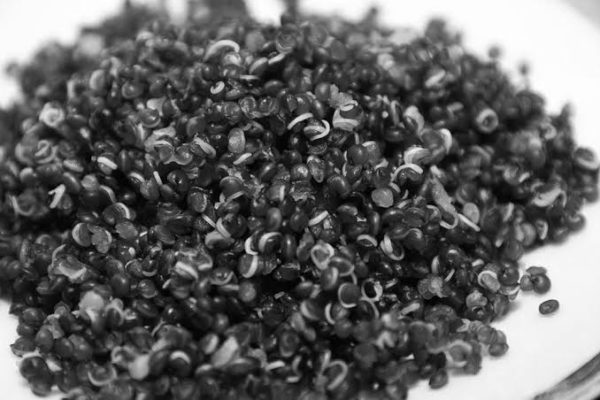 Quinoa preta na dieta