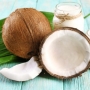 Benefícios do coco, quais são?