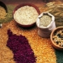 Benefícios dos alimentos com grãos integrais! Linhaça, quinoa e outros
